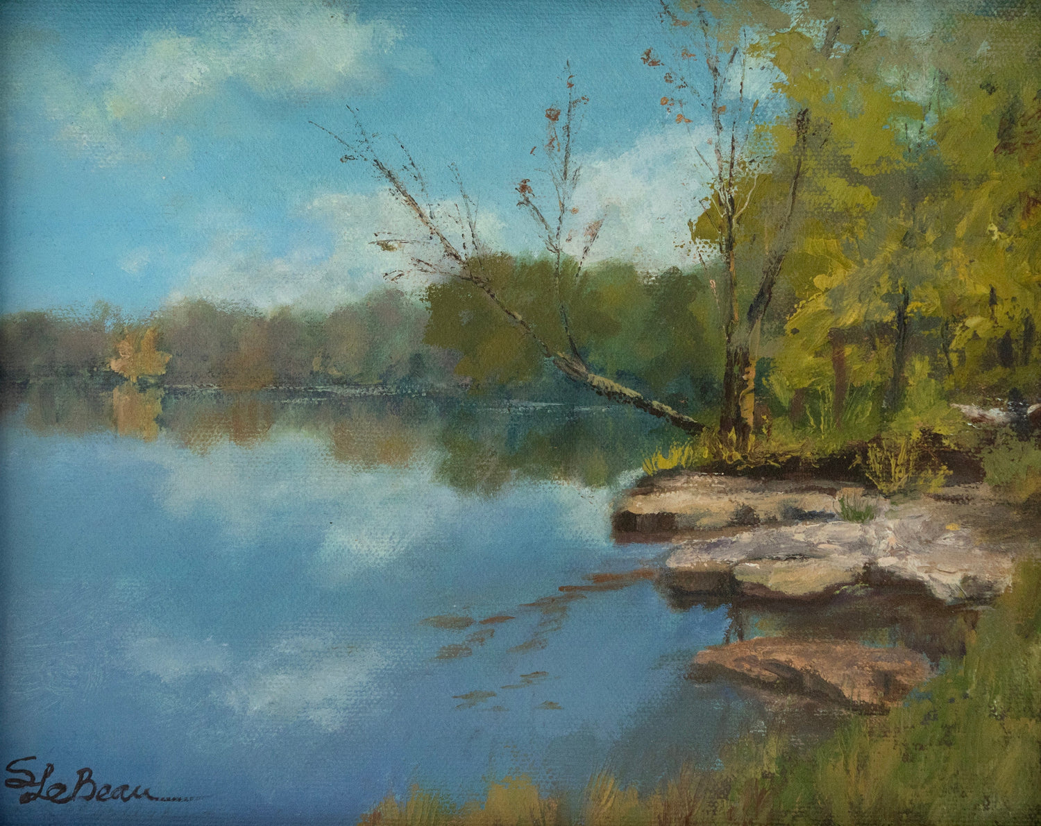 Evergreen Collection - Trellis & Vine