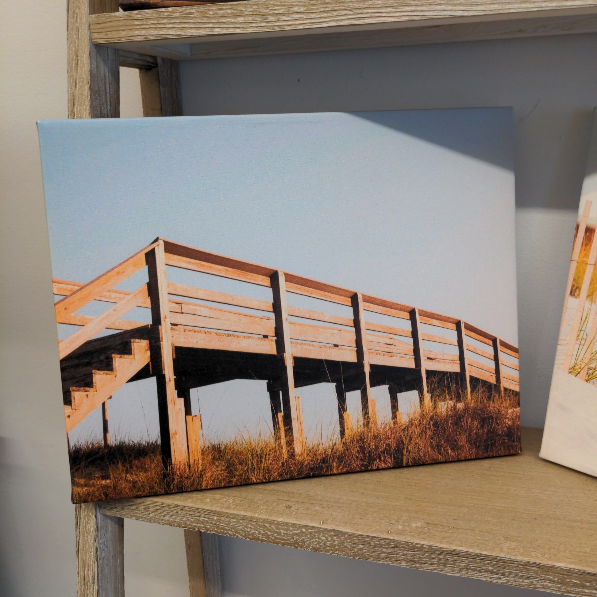 11x14 Canvas prints - Trellis & Vine Hannah Follett