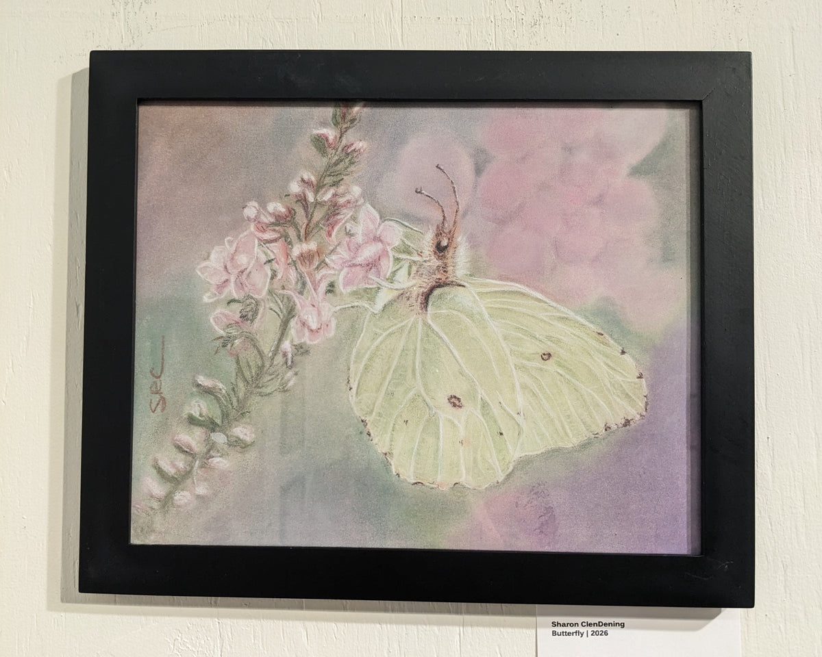 A framed butterfly and floral artwork hanging on a textured white wall, with a small label card below the frame.