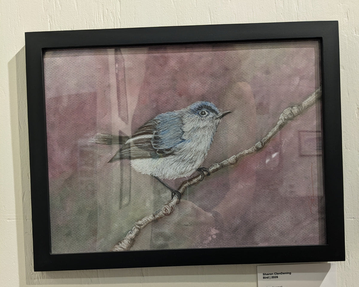 A framed bird painting on a textured off-white wall, featuring a small blue bird perched on a branch against a muted pink and gray background.