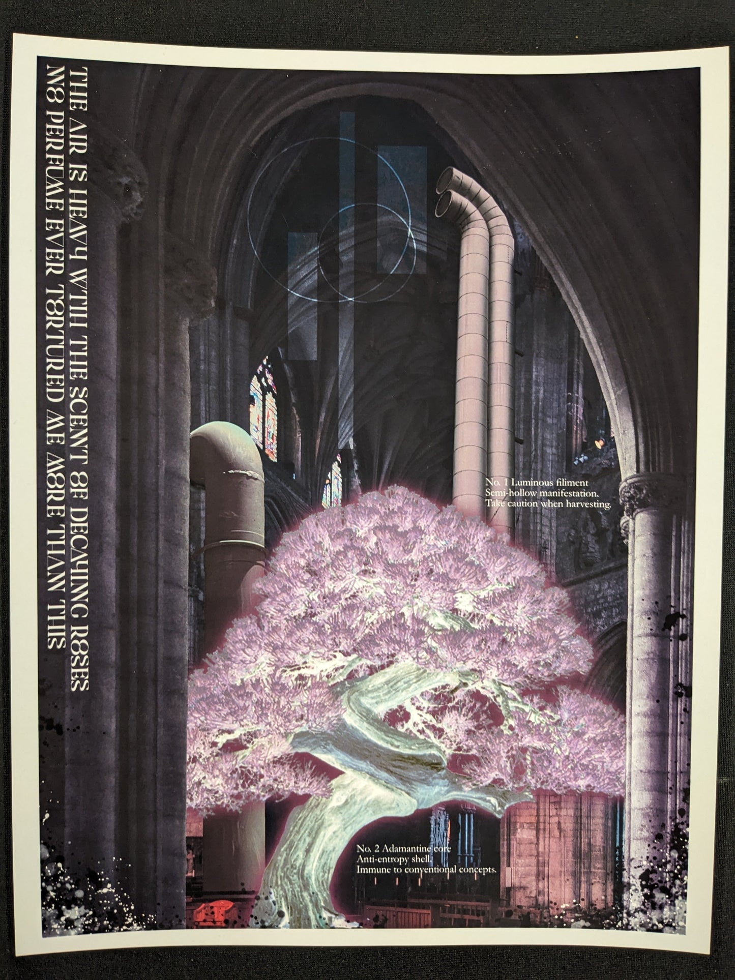 BitterSweet Gallery - Trellis & Vine Various Artwork