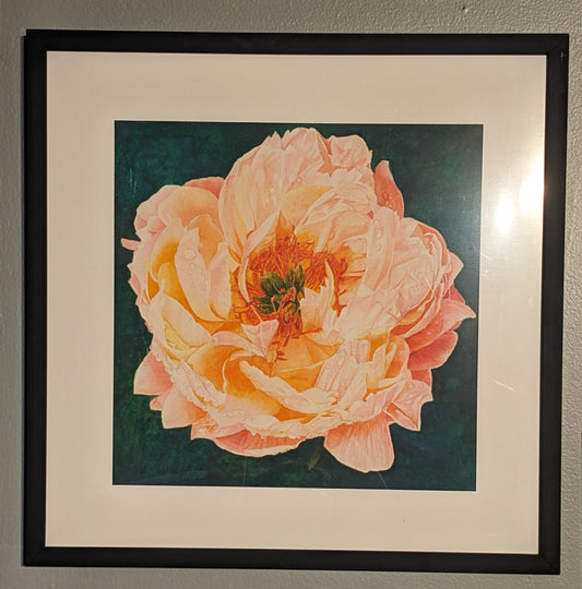 Blush - A Whisper of Happiness - Trellis & Vine Trellis & Vine