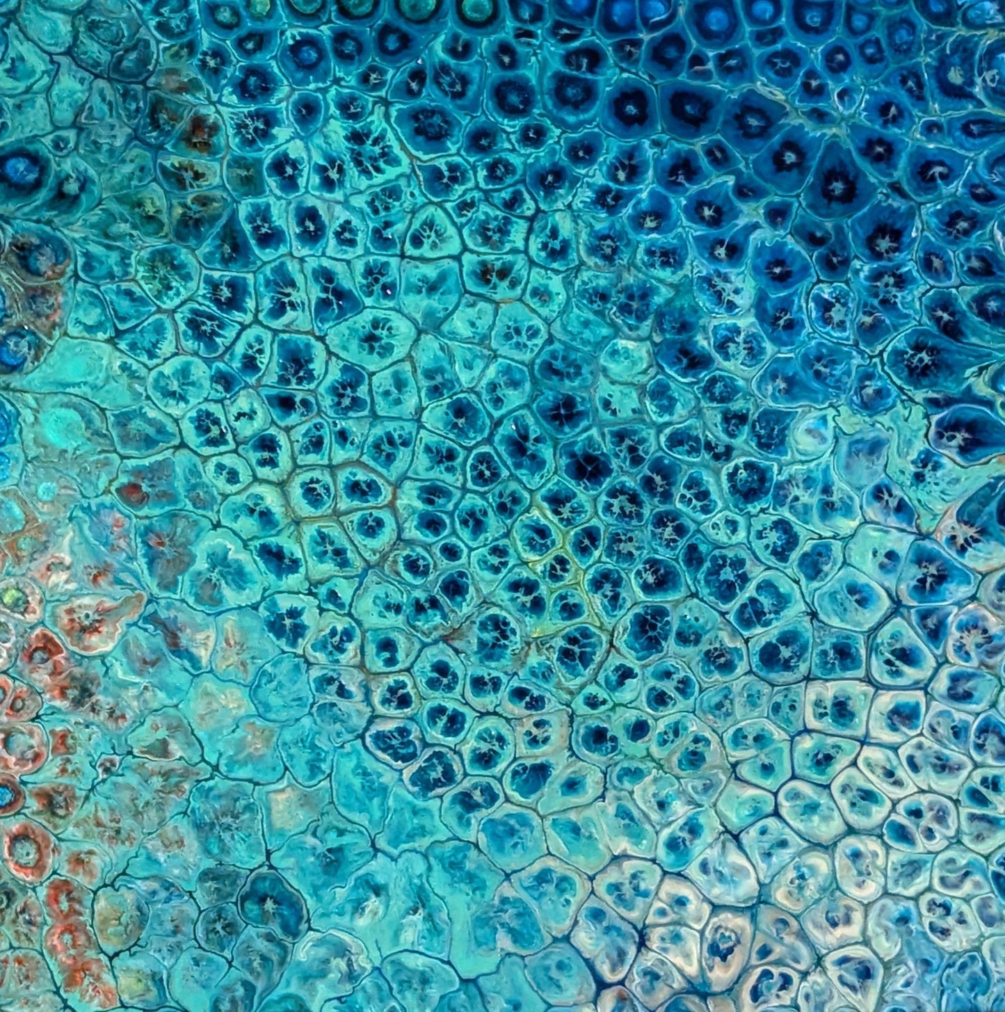 Coral Collection by E.L. Craig - Trellis & Vine E. L. Craig Art Piece