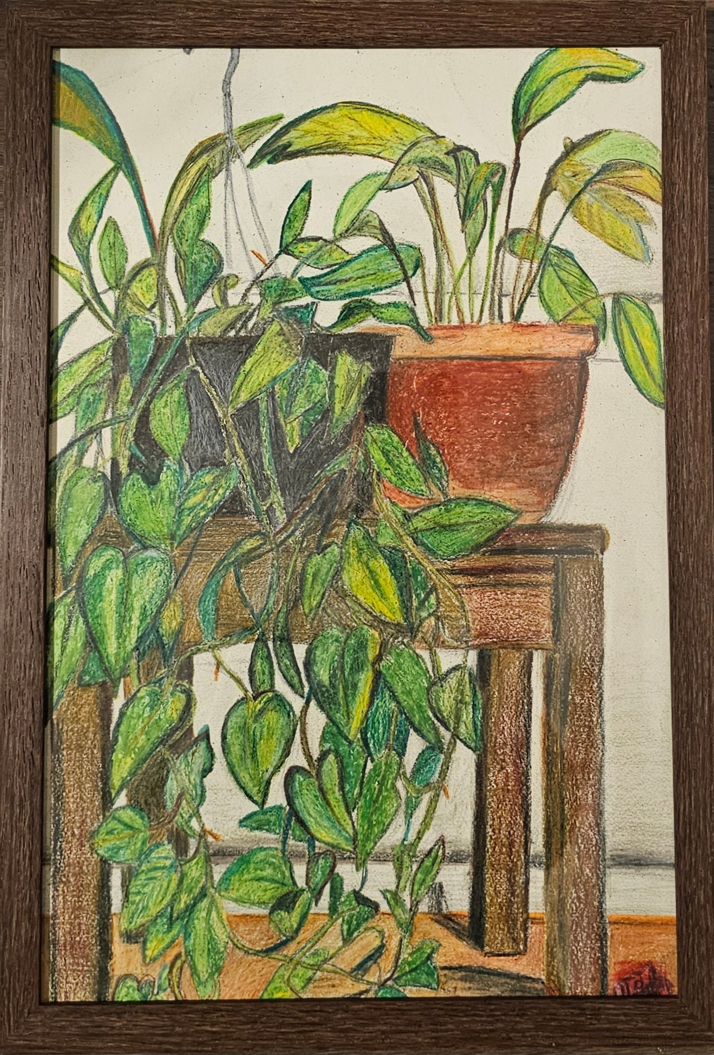House Plants by HMB - Trellis & Vine Haniyfa Muhammad Branka Artwork