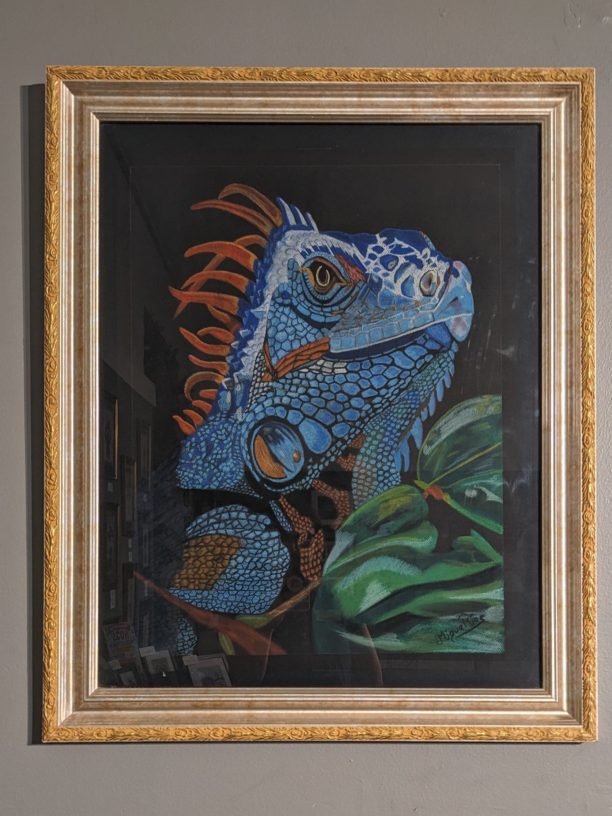 Iguana - Trellis & Vine Trellis & Vine