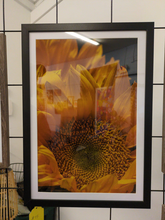 20x14 Black Framed Print