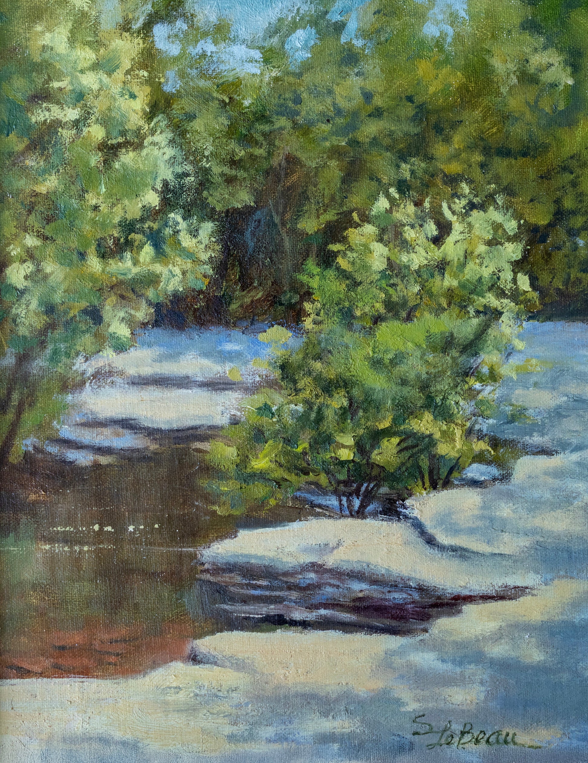 Stony Riverbed by Suzanne LeBeau - Trellis & Vine Suzanne LeBeau Art Piece